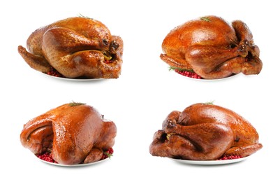 Image of Delicious baked turkey with cranberries and rosemary on white background, different sides. Collage