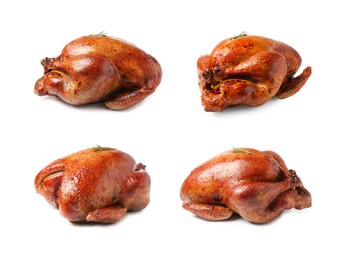 Image of Delicious baked turkey on white background, different sides. Collage