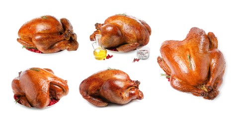 Delicious baked turkeys with cranberries, spices and oil on white background, set