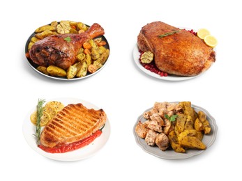 Image of Different delicious dishes of turkey on white background, set