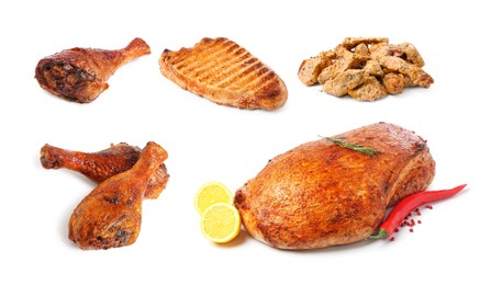 Image of Different delicious dishes of turkey on white background, set