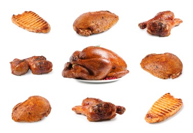 Image of Different delicious dishes of turkey on white background, set