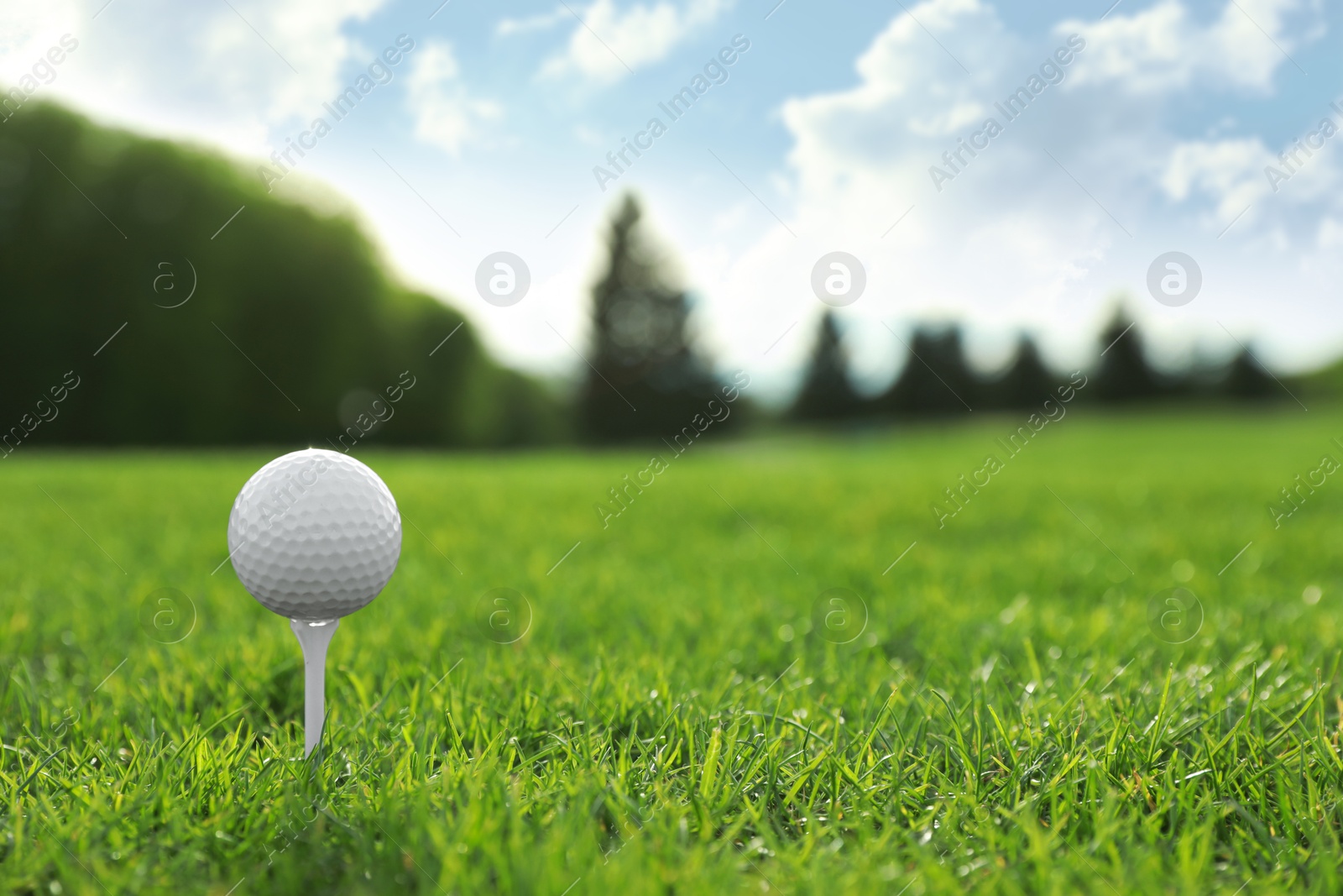 Photo of Golf ball on tee at green course, space for text