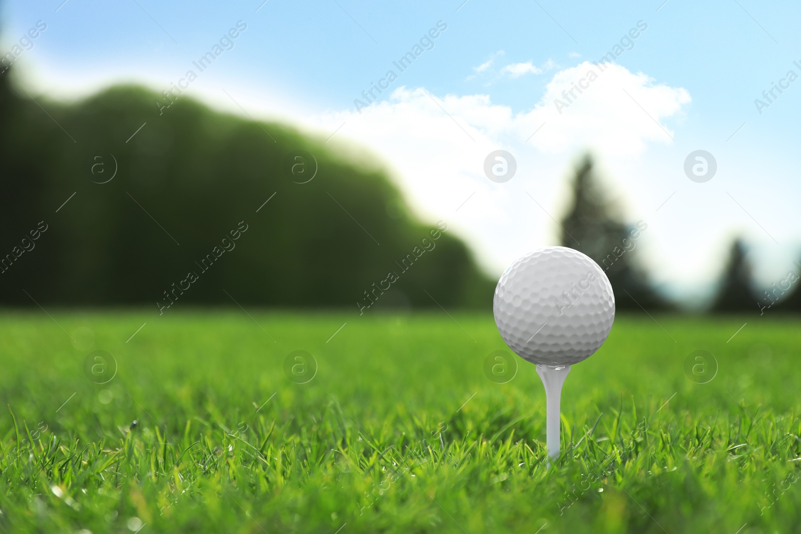 Photo of Golf ball on tee at green course, space for text