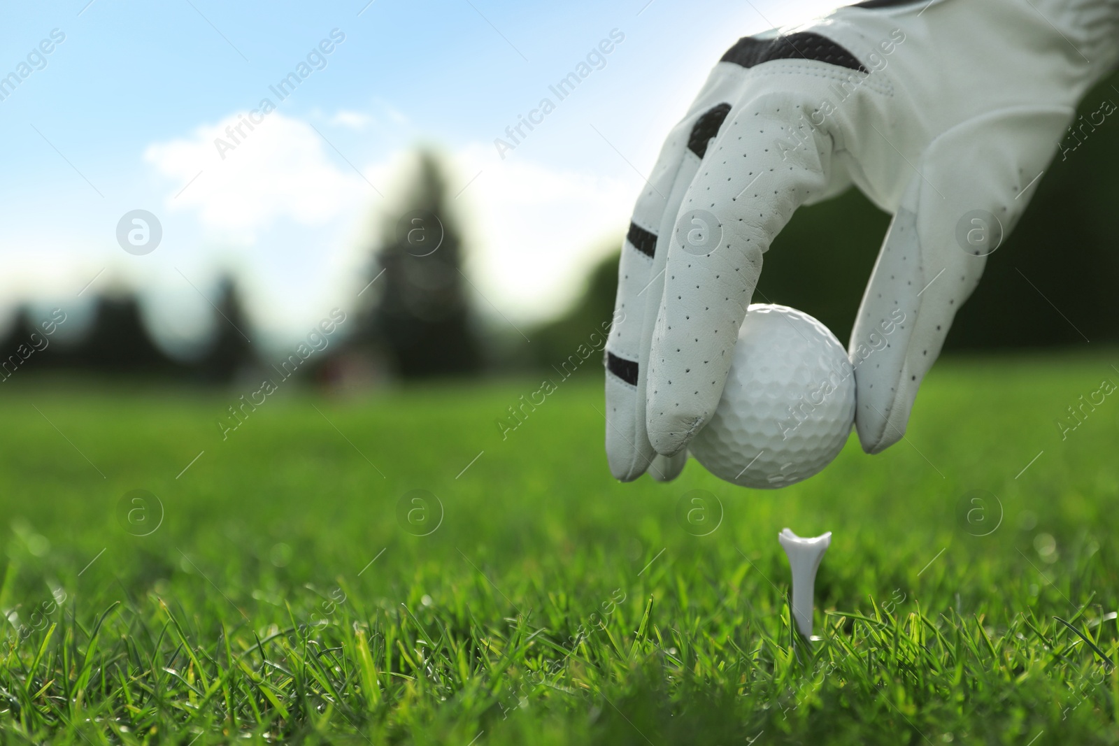 Photo of Golfer putting ball on tee at green course, closeup. Space for text