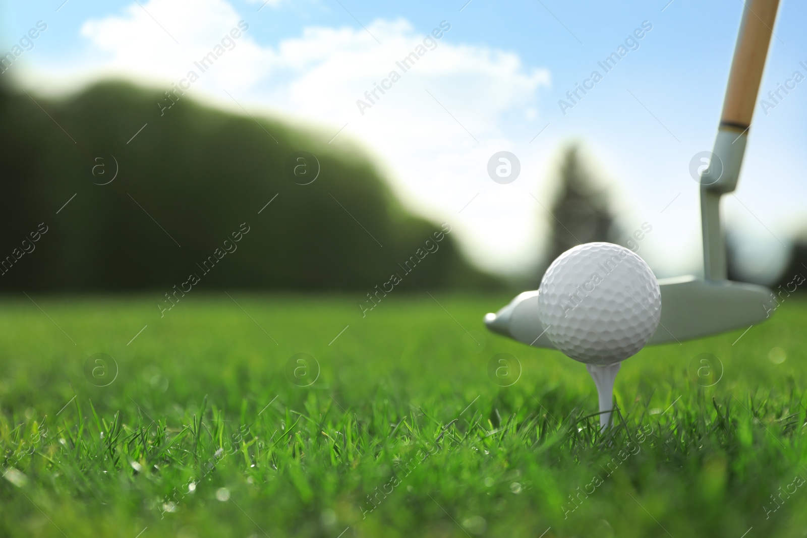 Photo of Hitting golf ball with club on green course, closeup. Space for text