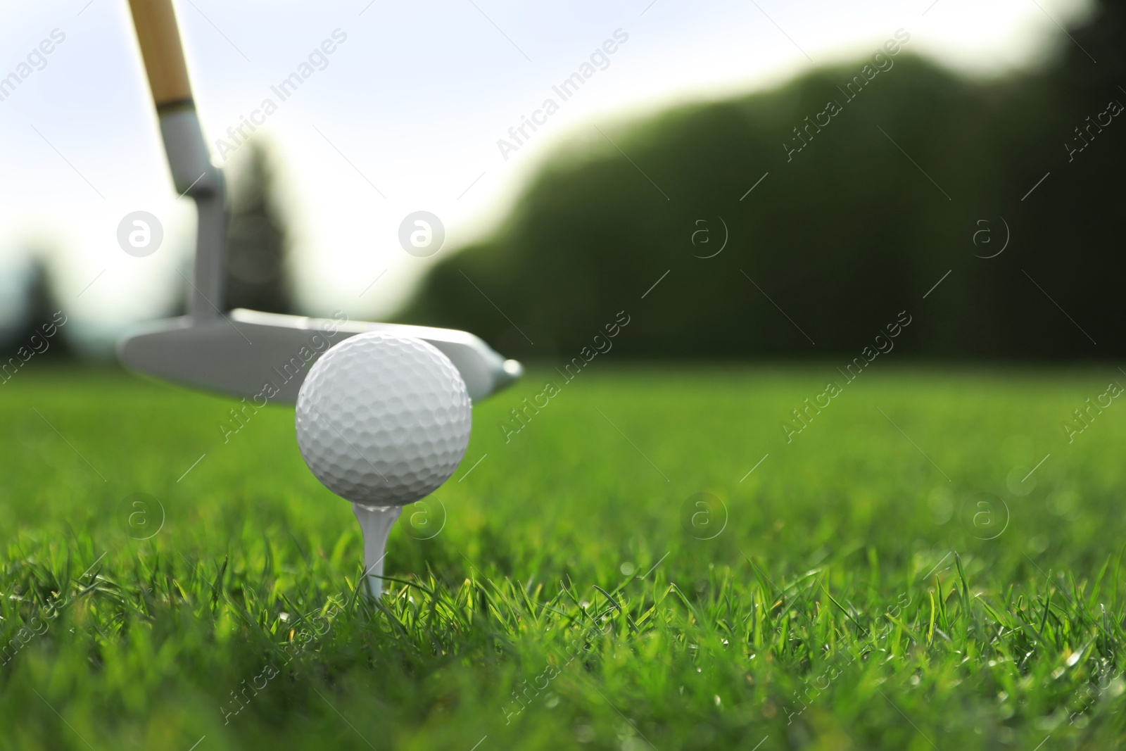 Photo of Hitting golf ball with club on green course, closeup. Space for text