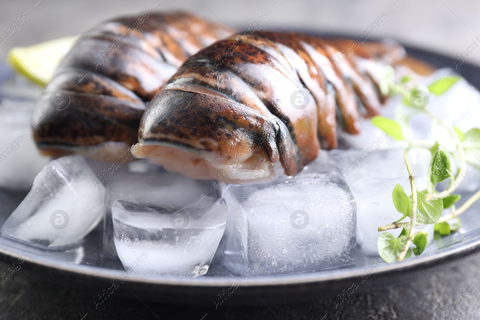 Photo of Raw lobster tails with microgreens and ice on table, closeup