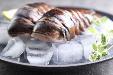 Raw lobster tails with microgreens and ice on table, closeup