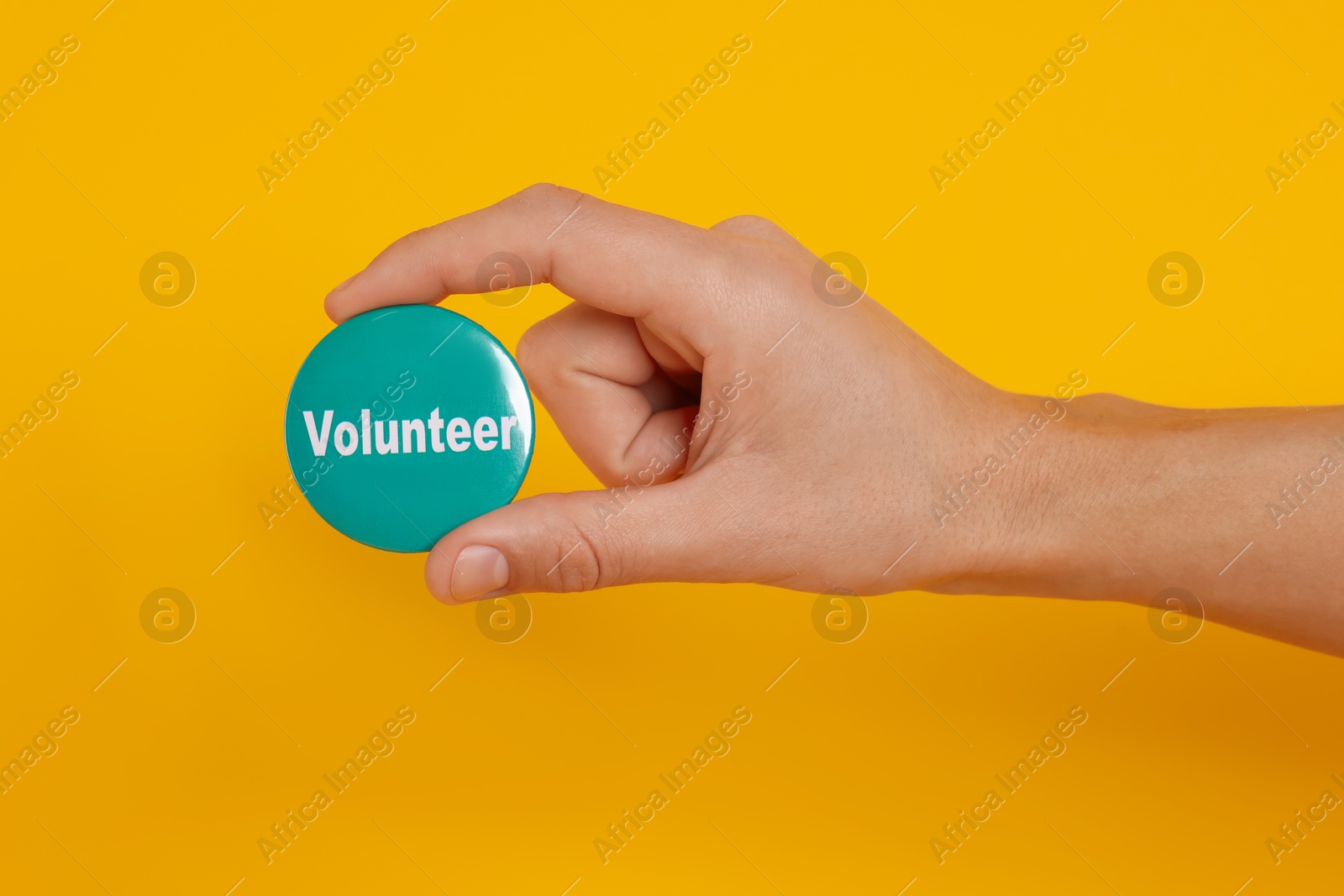 Photo of Man holding button badge with word Volunteer on orange background, closeup