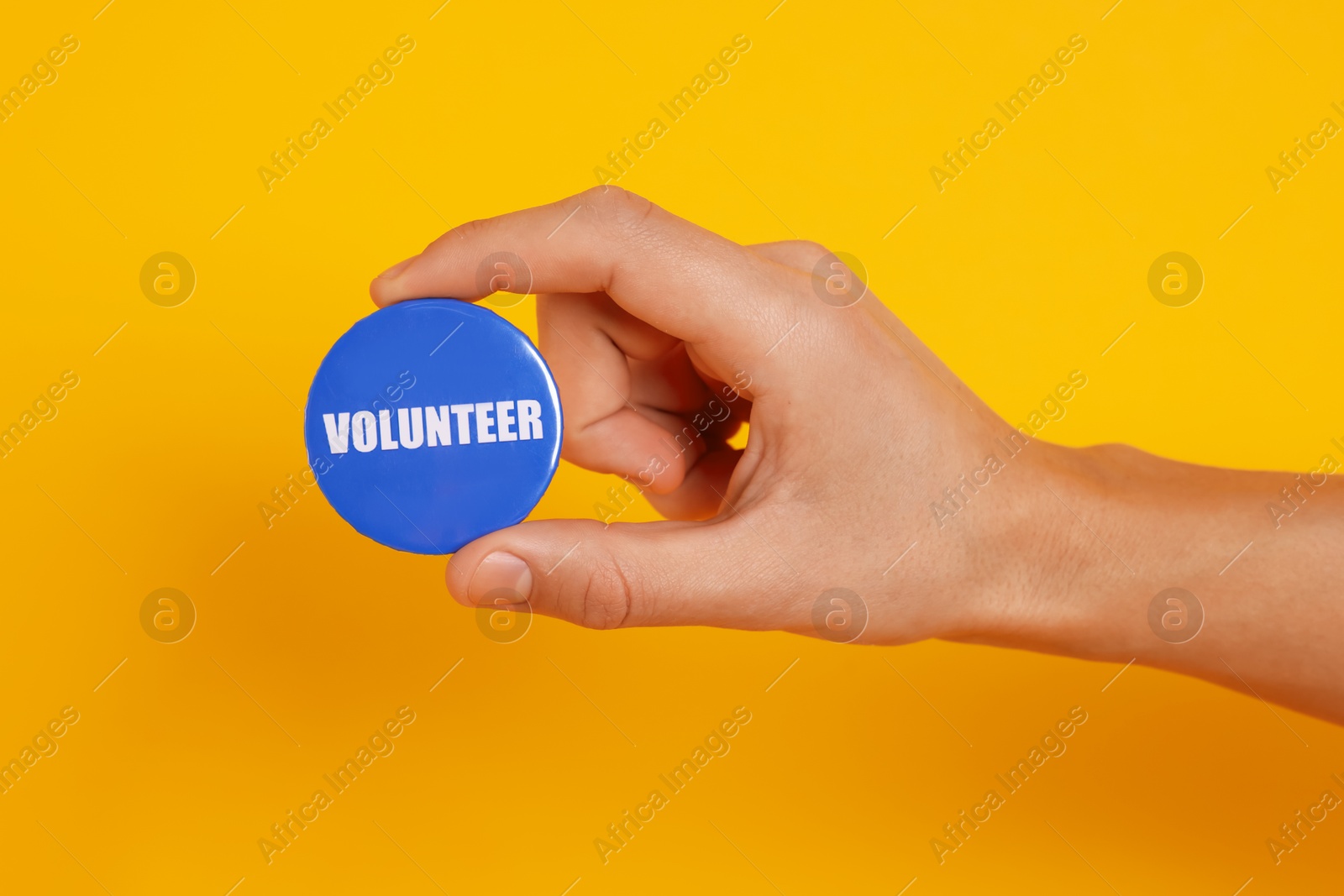 Photo of Man holding button badge with word Volunteer on orange background, closeup