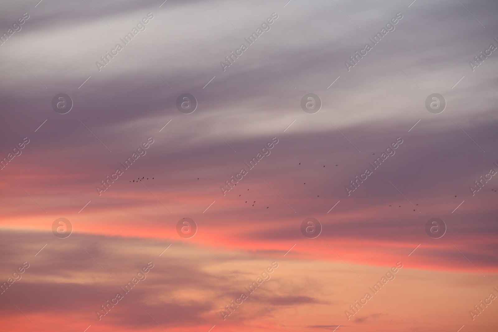 Photo of Picturesque view of beautiful sky at sunset