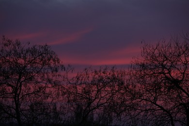 Photo of View of trees against beautiful sky at sunset