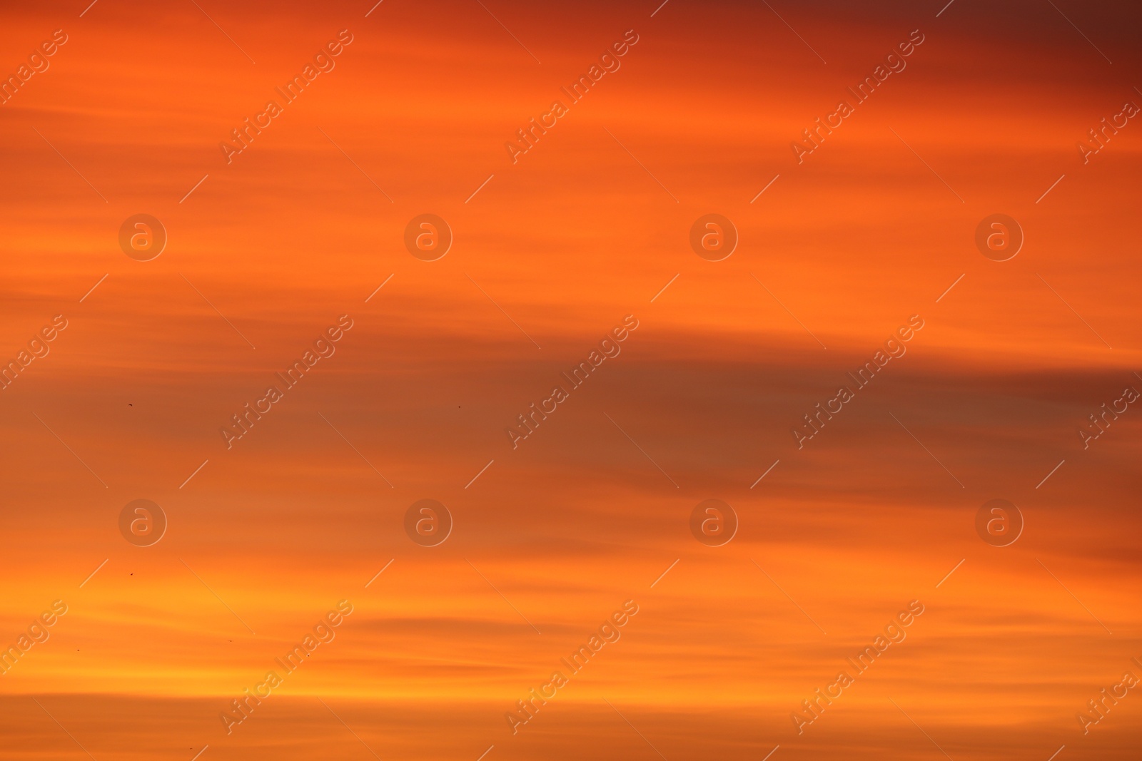 Photo of Picturesque view of beautiful sky at sunset