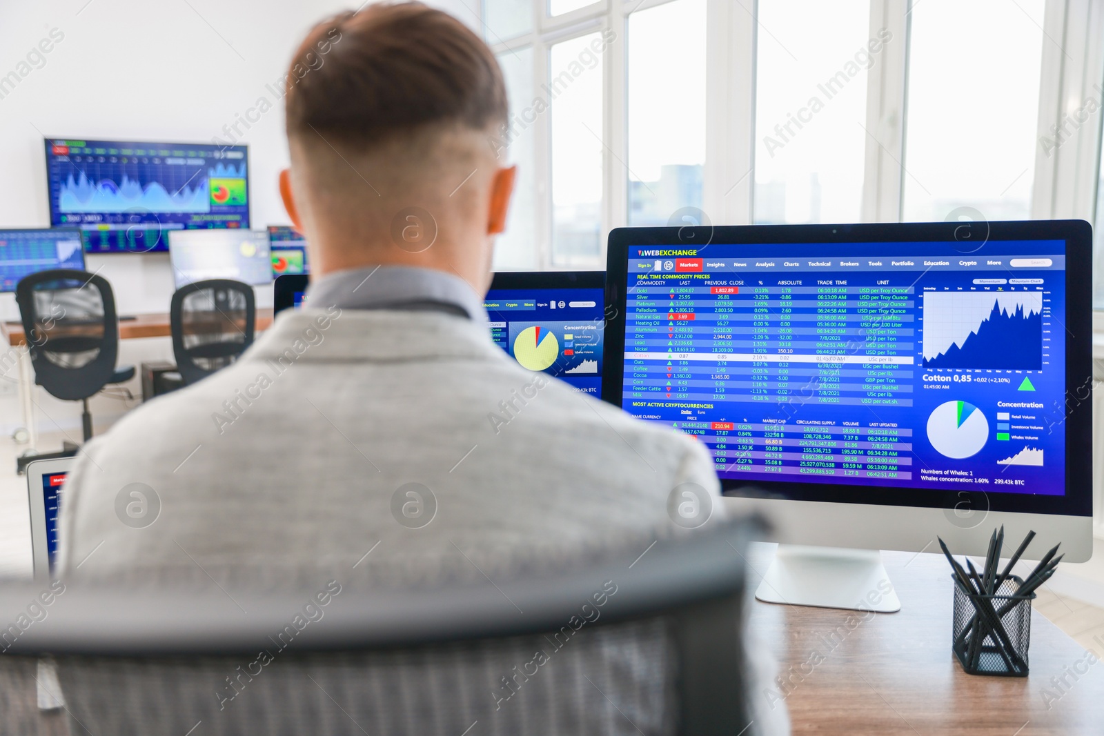 Photo of Financial trading specialist working in office, back view