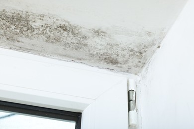 Photo of Window affected with black mold indoors, closeup view