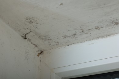 Photo of Window affected with black mold indoors, closeup view