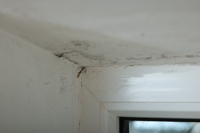 Photo of Window affected with black mold indoors, closeup view