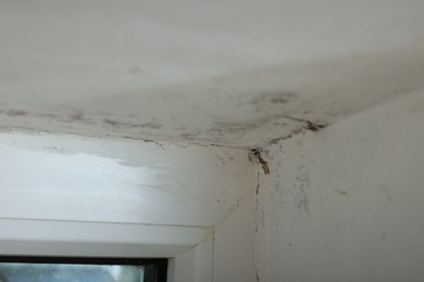 Photo of Window affected with black mold indoors, closeup view