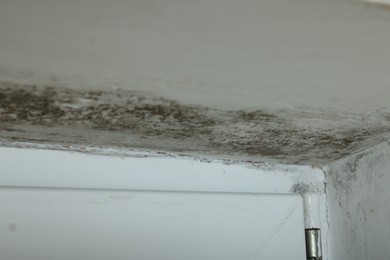 Wall affected with black mold indoors, closeup view