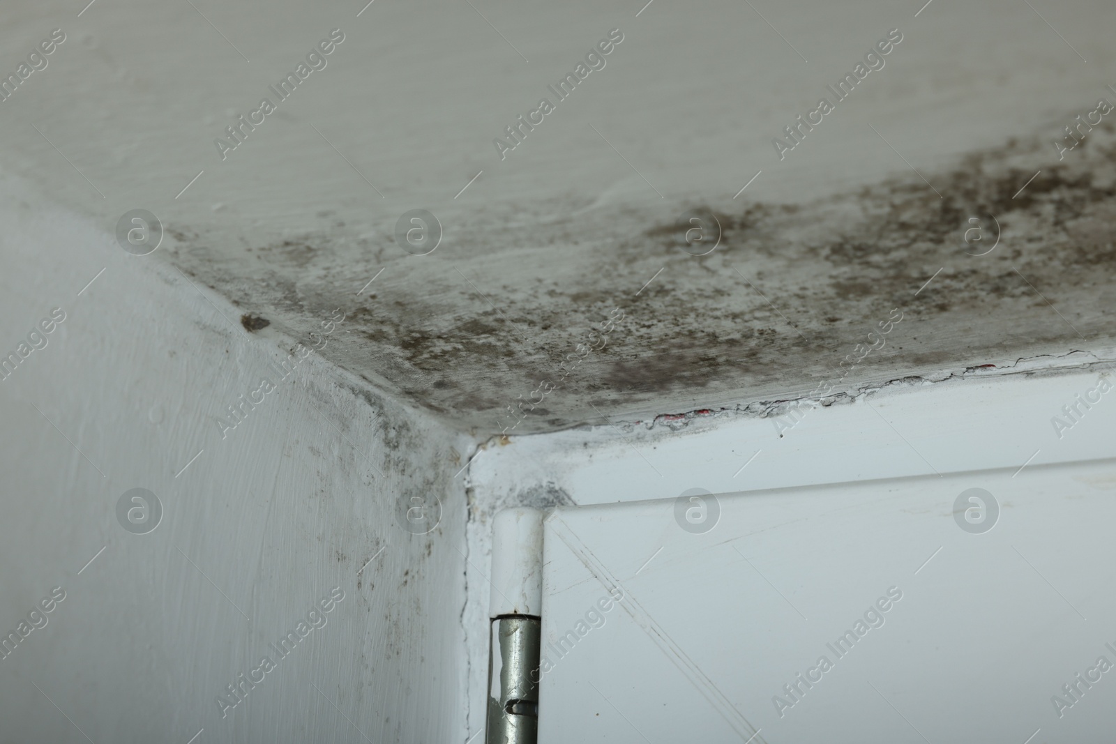 Photo of Wall affected with black mold indoors, closeup view