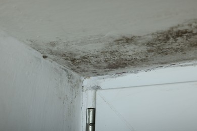 Photo of Wall affected with black mold indoors, closeup view