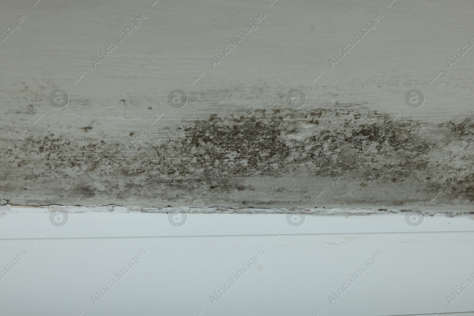 Photo of Wall affected with black mold indoors, closeup view