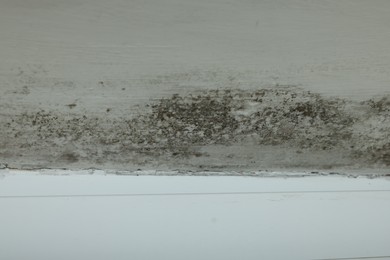 Wall affected with black mold indoors, closeup view