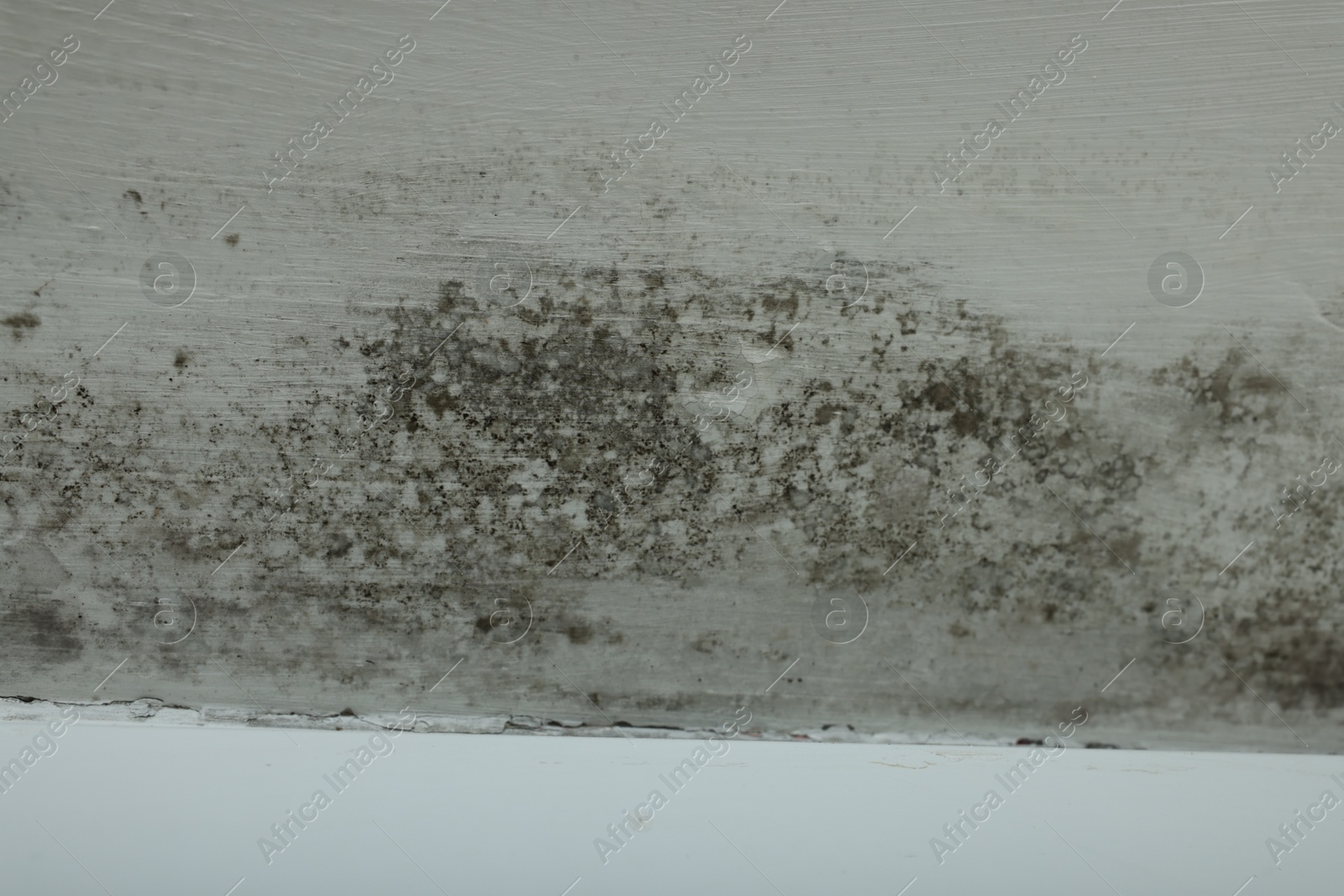 Photo of Wall affected with black mold indoors, closeup view