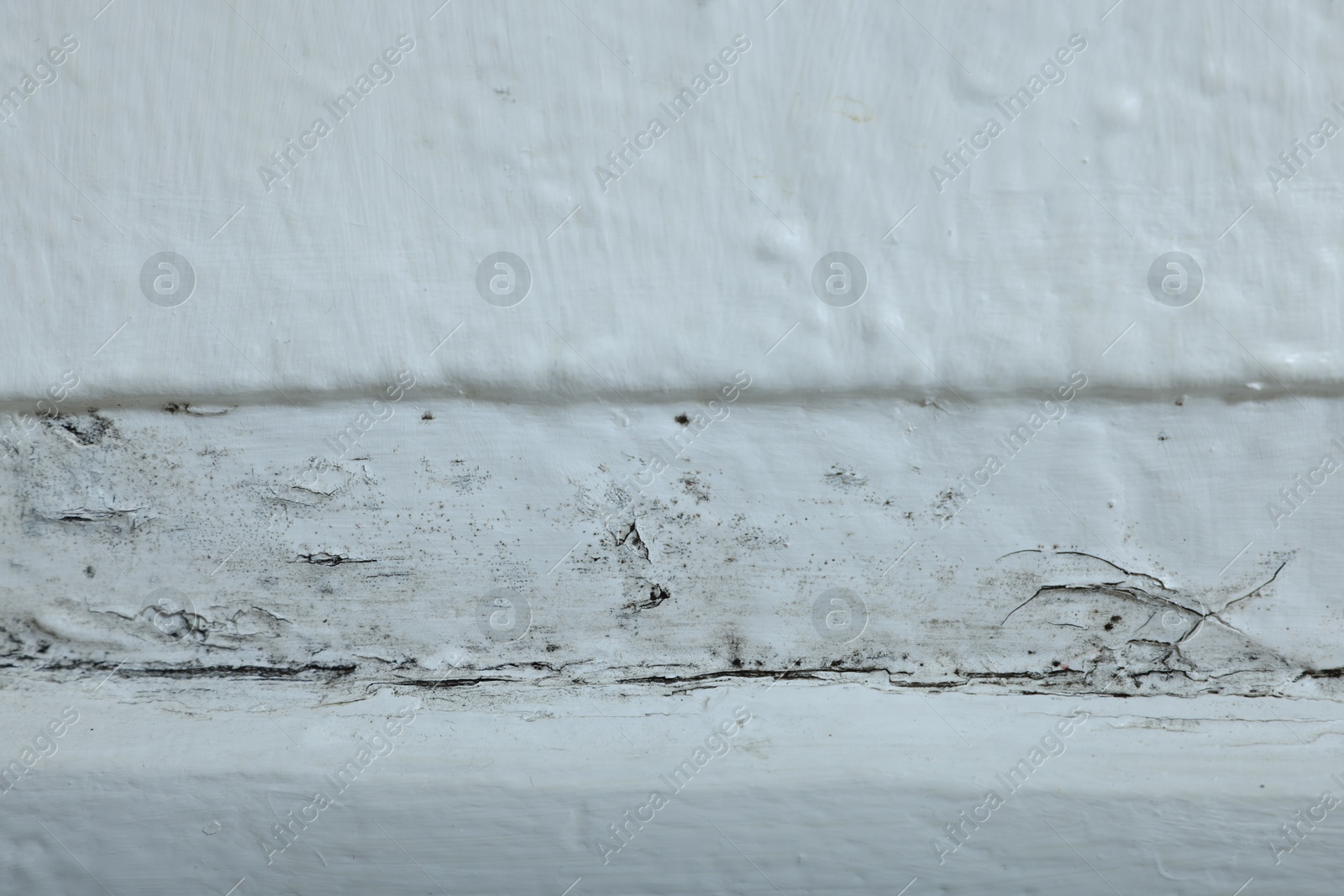 Photo of Wall affected with black mold indoors, closeup view