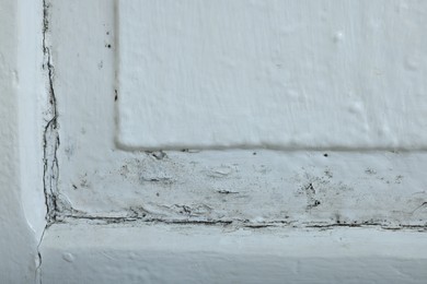 Photo of Wall affected with black mold indoors, closeup view