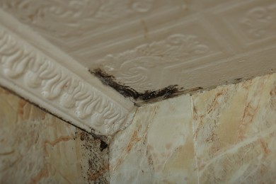 Photo of Wall affected with black mold indoors, closeup view