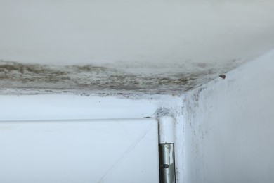 Photo of Window affected with black mold indoors, closeup view