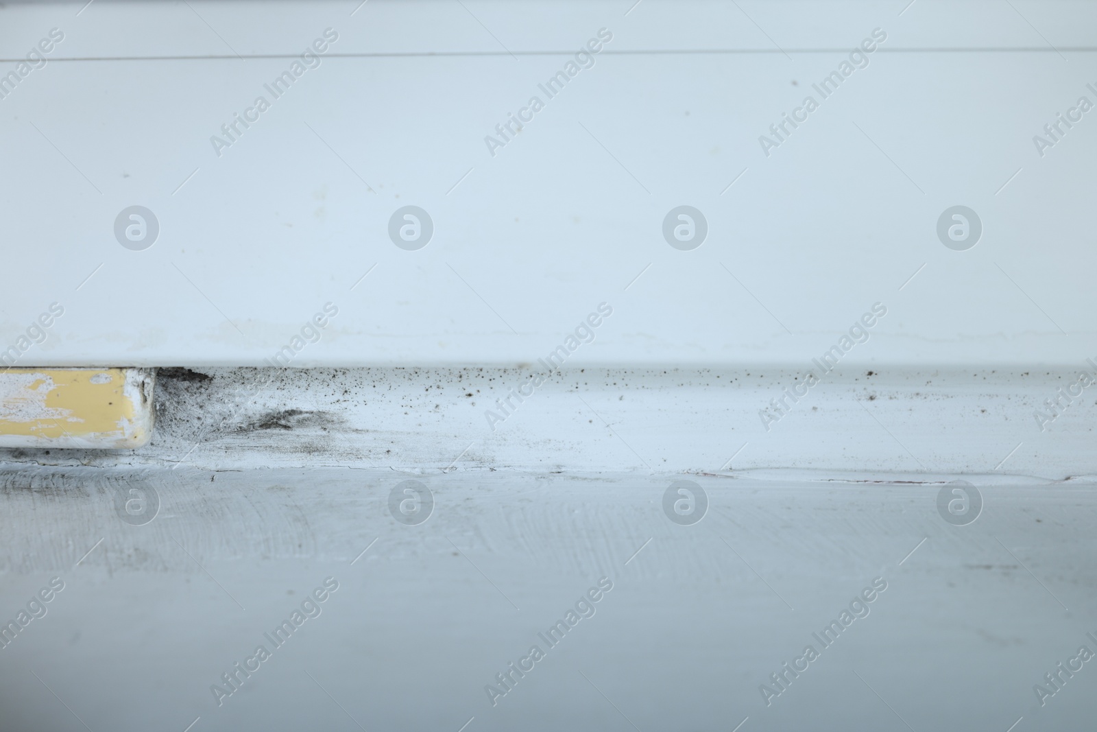 Photo of Wall affected with black mold indoors, closeup view