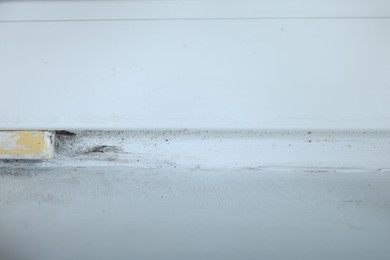 Photo of Wall affected with black mold indoors, closeup view