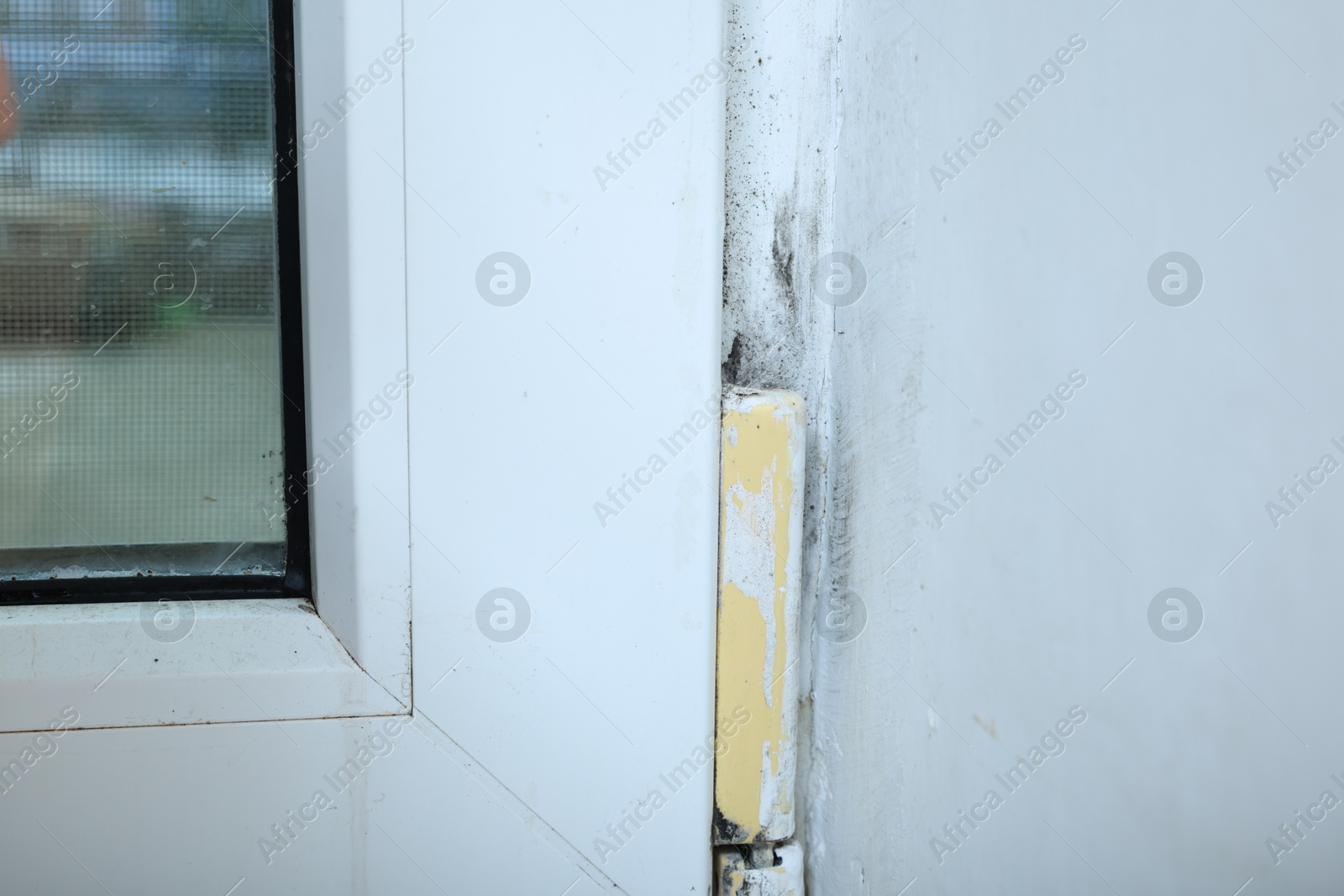 Photo of Window affected with black mold indoors, closeup view