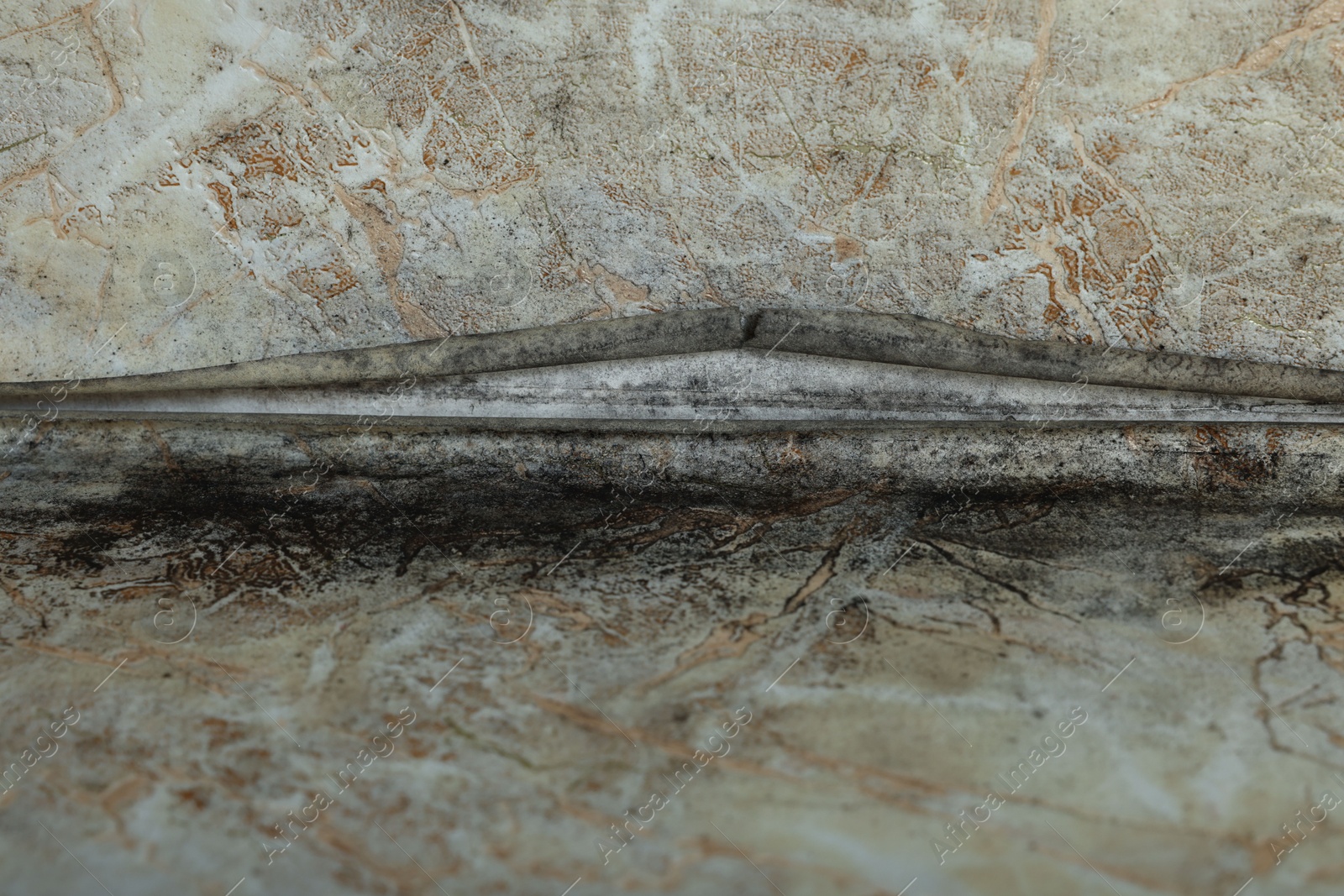 Photo of Wall affected with black mold indoors, closeup view