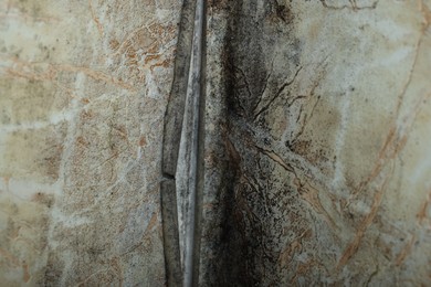 Wall affected with black mold indoors, closeup view