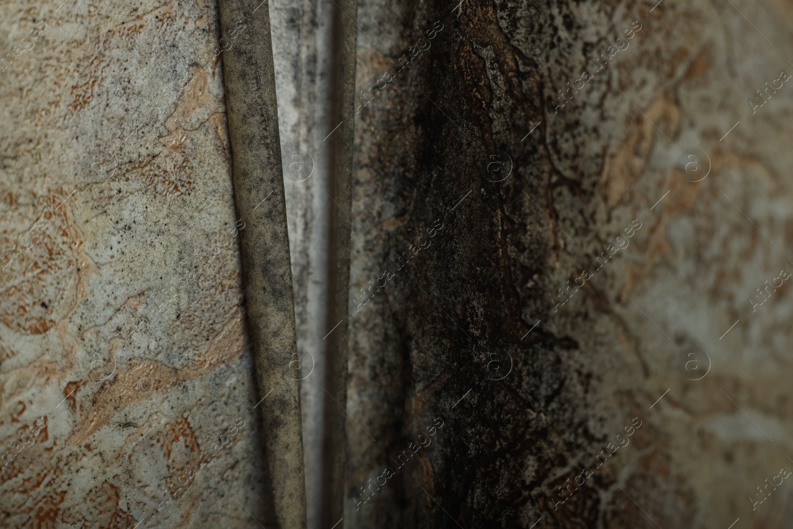 Photo of Wall affected with black mold indoors, closeup view