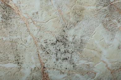 Photo of Wall affected with black mold indoors, closeup view