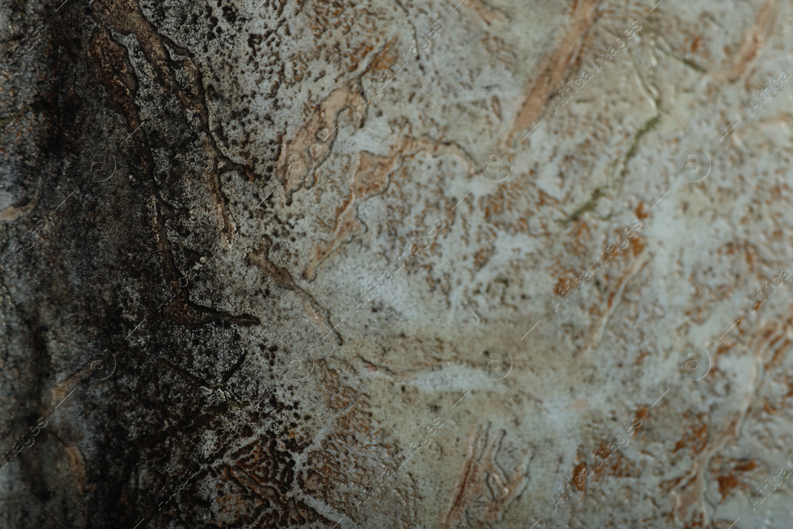 Photo of Wall affected with black mold indoors, closeup view