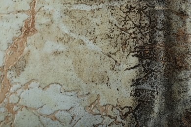 Photo of Wall affected with black mold indoors, closeup view