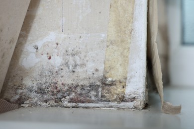 Wall affected with black mold indoors, closeup view