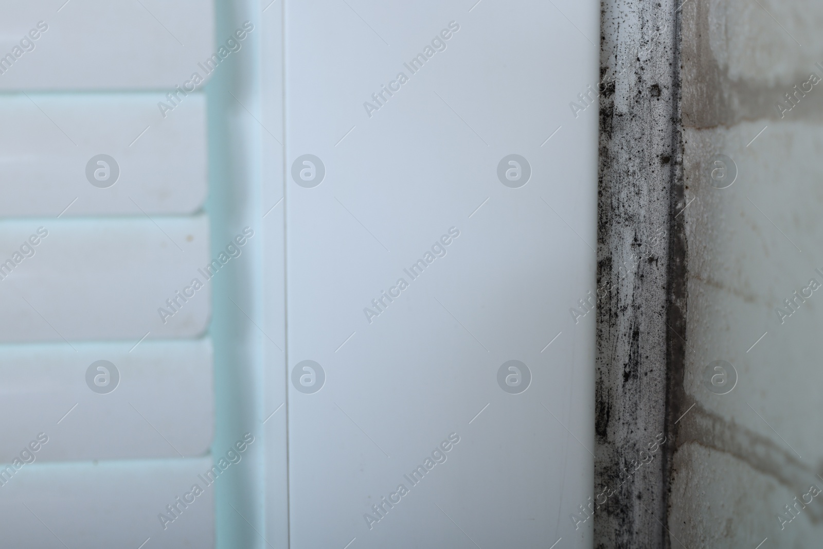 Photo of Window affected with black mold indoors, closeup view