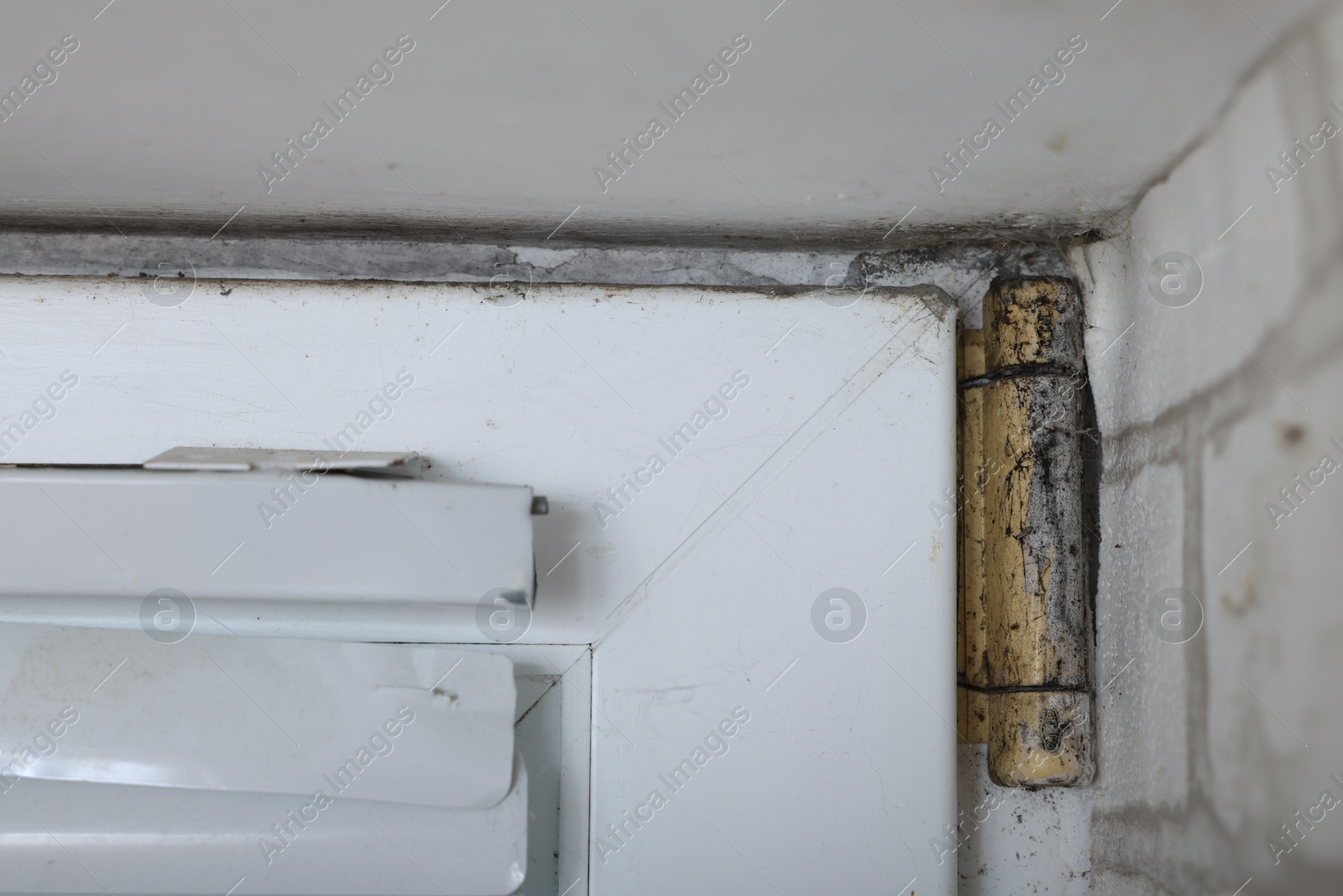 Photo of Window affected with black mold indoors, closeup view