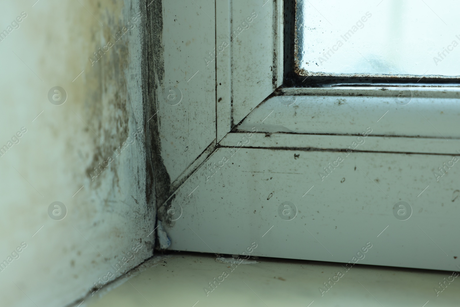 Photo of Window affected with black mold indoors, closeup view