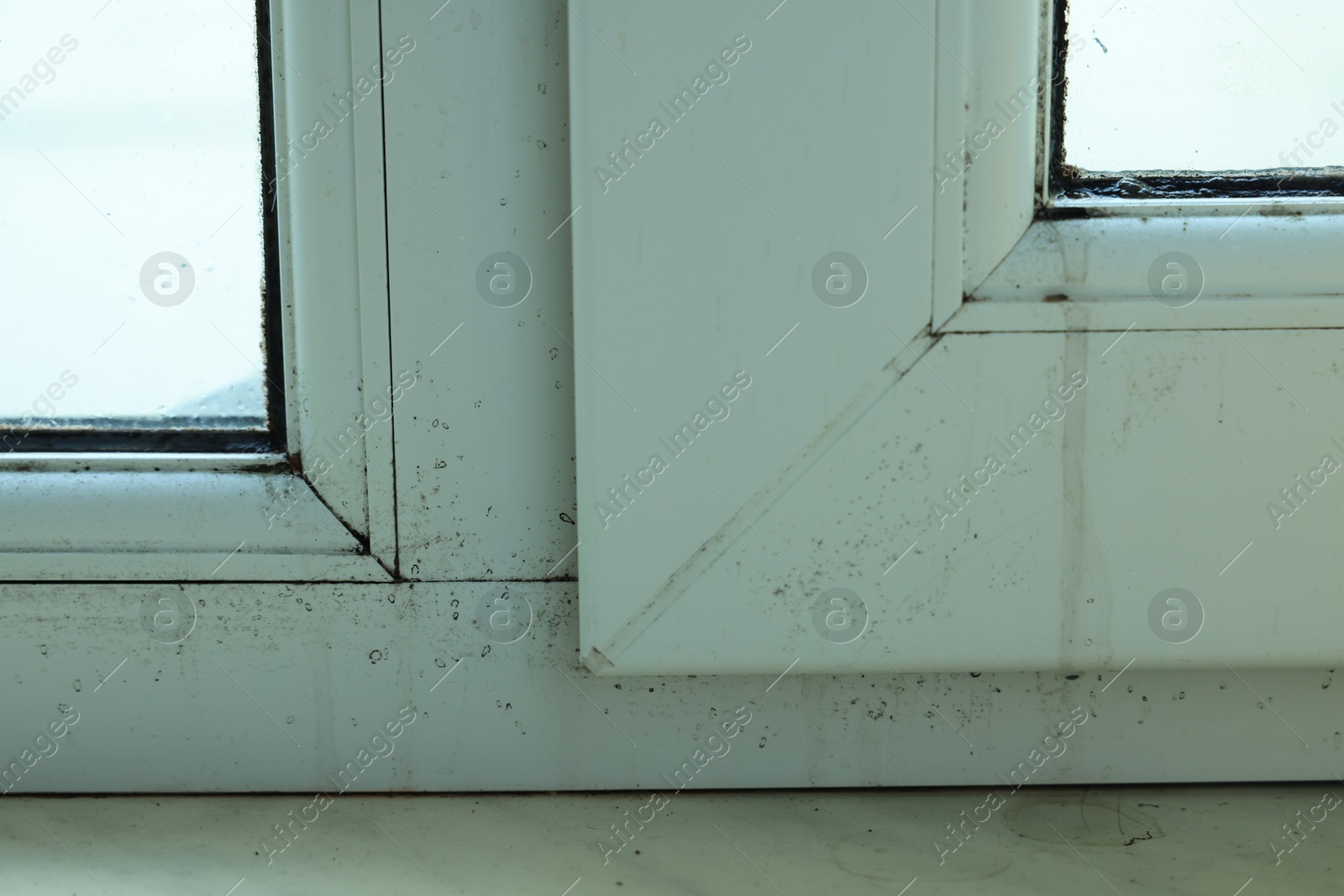 Photo of Window affected with black mold indoors, closeup view