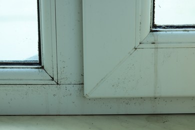 Photo of Window affected with black mold indoors, closeup view