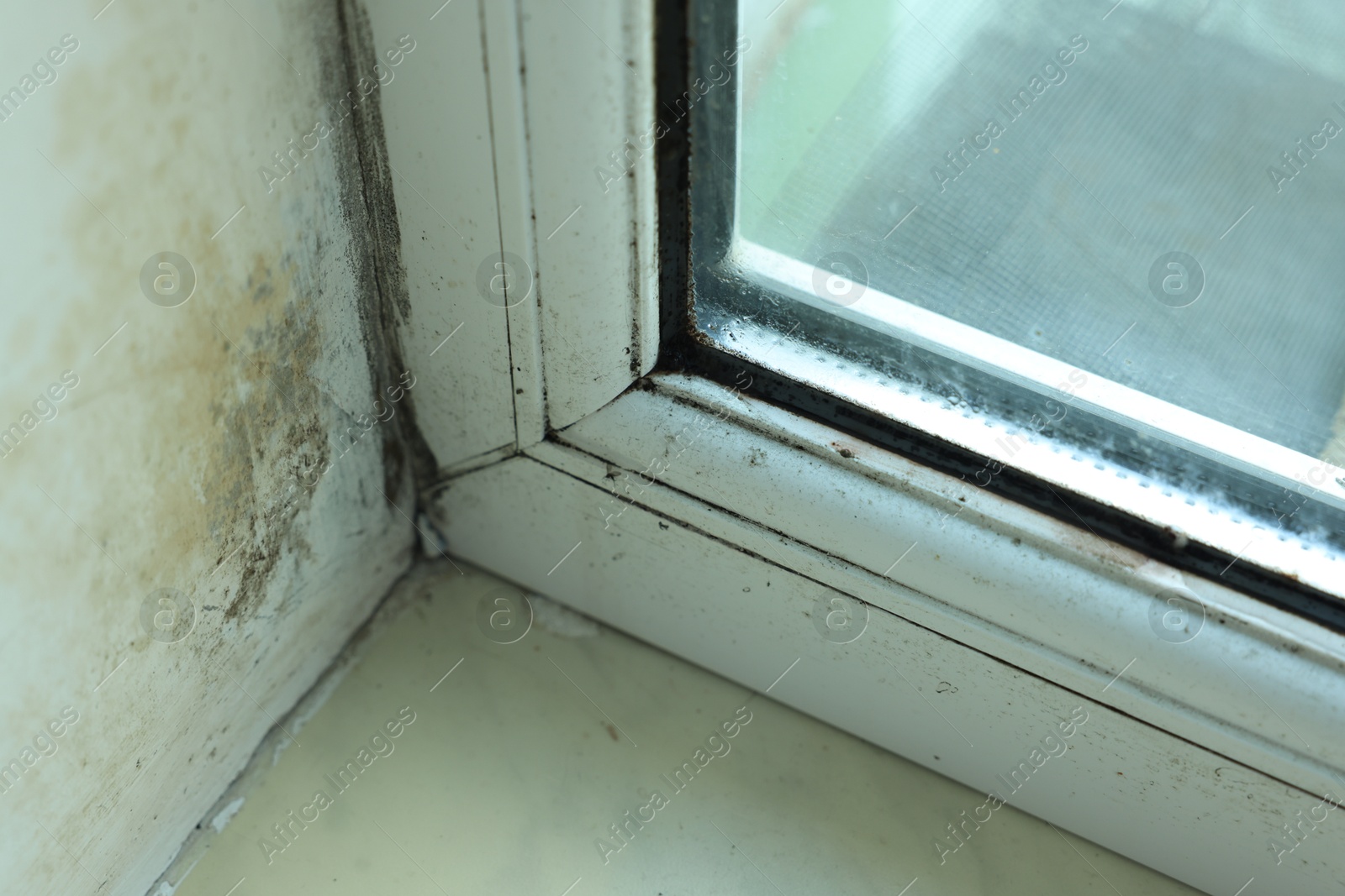 Photo of Window affected with black mold indoors, closeup view