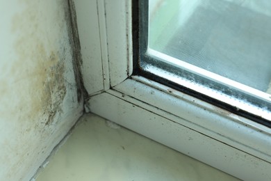 Photo of Window affected with black mold indoors, closeup view